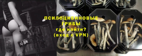 прущие грибы Алексеевка