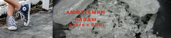 прущие грибы Алексеевка