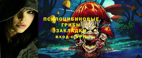 прущие грибы Алексеевка
