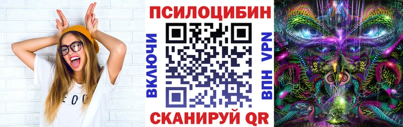 купить наркотик  Калязин  Галлюциногенные грибы Psilocybine cubensis 